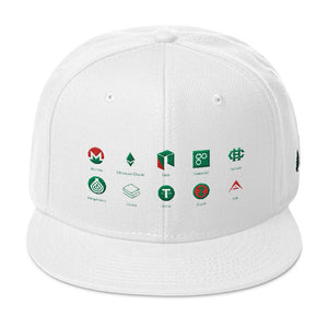 snapback Hat